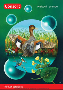 CONSORT Cat�logo general 2026