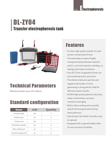 DLAB Cubeta de transferencia para electroforesis DL-ZY04