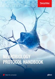 THERMOFISHER Neurobiology protocol handbook