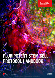 THERMOFISHER Pluripotent stem cell resource handbook