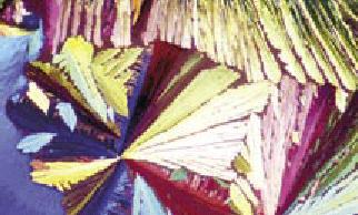 banner1