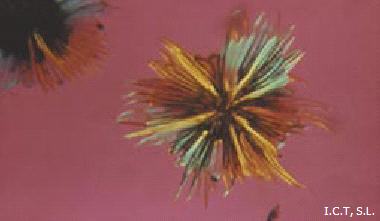 banner1