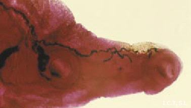 banner2
