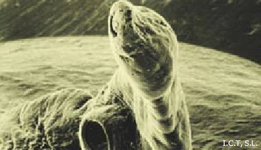 banner4