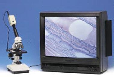 Sistema de video microscopia