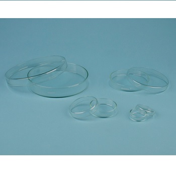 Caja Petri 100 mm dimetro, 20 mm Alto, ANUMBRA®