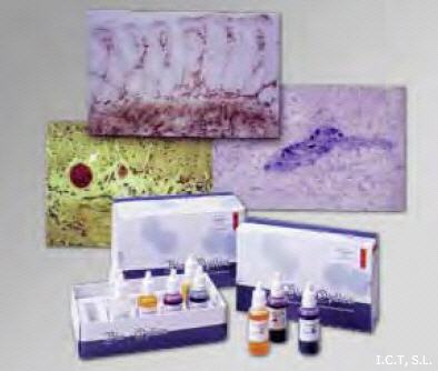 Kit para diagnstico de enfermedad de Hirschsprung
