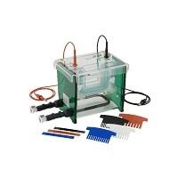 Cubeta de electroforesis vertical, SCIE-PLAS