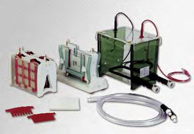 Cubeta electroforesis vertical y electroblotting