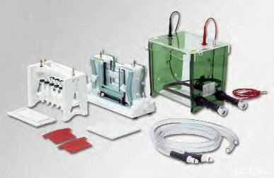 Cubeta electroforesis vertical y mdulo 2D-SYS