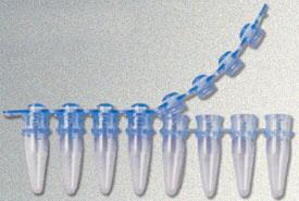 Tiras de microtubos para PCR, LABCON