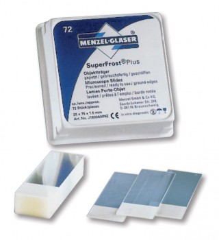 Porta-objetos de adhesin