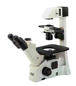 Microscopio triocular biolgico AE-31, MOTIC