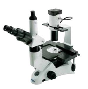 Microscopio triocular biolgico XDS-2, OPTIKA