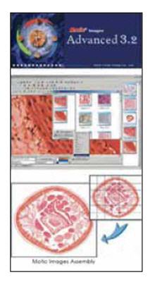 Software MOTIC Image Advanced 3.2 (Ingles)