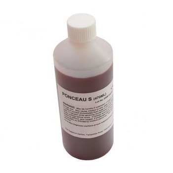Solucin Ponceau S p/ electroforesis, 470 mL, p/ tincin de hemoglobina, hemoglobina glicosilada, suero y otras protenas tras la migracin electrofortica, CHEMILABOR®