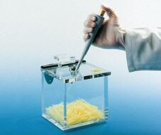 Contenedor anti-radiacin Beta residuos pequeos