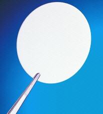 Filtro de membrana Nylasorb™, Pall Life Sciences