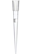 Puntas de pipeta Finntip™ Filter c/ filtro, Thermo