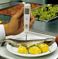 Termmetro para alimentacin 106, Testo