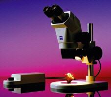 Estereomicroscopio binocular Stemi 2000, ZEISS