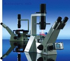 Microscopio invertido Axiovert 40 C/40 CFL, ZEISS