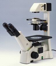 Microscopio invertido triocular AE30/AE31, MOTIC