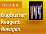 Reactivo para extraccin de protenas BugBuster