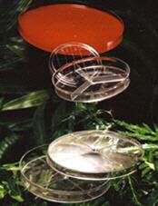 Placas de Petri, plstico Star™ Dish, PHOENIX BIO