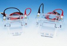 Sistema de electroforesis gel horizontal Mini, CBS