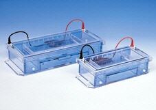 Sistema de electroforesis gel horizontal C.B.S.