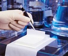Membrana de transferencia Biodyne, PALL