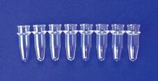 Tiras de microtubos para PCR 0,3 mL, OMNISTRIPS