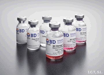 Matriz extracelular humana BD ™