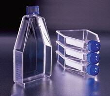 Frasco para cultivo celular BD BioCoat™ colgeno