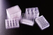 Placa para cultivo celular BD BioCoat™ colgeno I