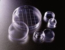 Placas de Petri BD BioCoat™ gelatina