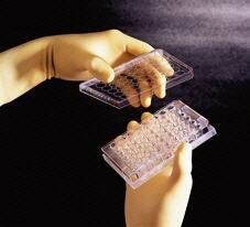 Placa para cultivo celular BD BioCoat™