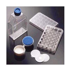Poly-D-lysine BD™