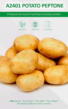 Peptona de Patata, 1 x 25 Kg, peptona no animal, SOLABIA™