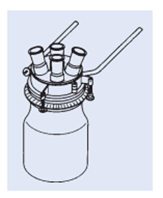 Matraz reactor, dispositivo soporte para la tapa