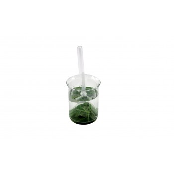 Aparato para la respiraci�n de las plantas acu�ticas, LABOESCUELA&reg;