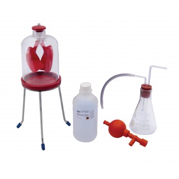 Equipo para experiencias sobre la respiraci�n, LABOESCUELA&reg;
