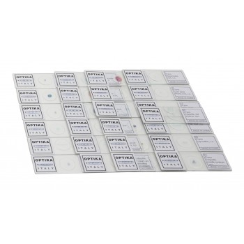 Faner�gamas, LABOESCUELA&reg;