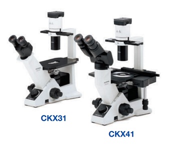 Microscopio invertido investigacin CKX-31 OLYMPUS