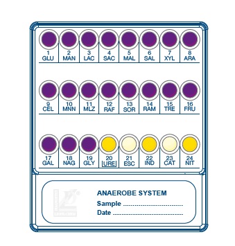 Sistemas para identificacin microbiolgica (ID), LIOFILCHEM®