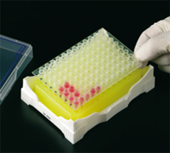 Gradilla rectangular para microtubos PCR / tiras PCR 0.2 mL PCR IsoFreeze c/ gel refrigerante indicador de temperatura, PP, DELTALAB
