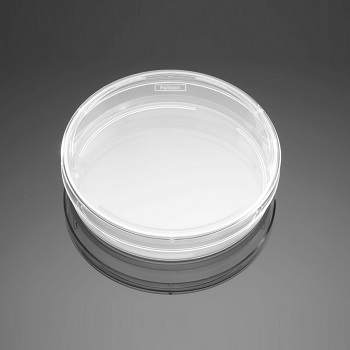 Placas de Petri Corning BioCoat™ colgeno I, CORNING LIFE SCIENCE®
