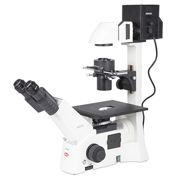 Microscopio binocular investigacin AE31E BINOCULAR 100W, MOTIC®