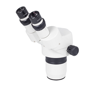 Estereomicroscopio binocular investigacin SMZ-168-BH (60°) head, cabezal, MOTIC®